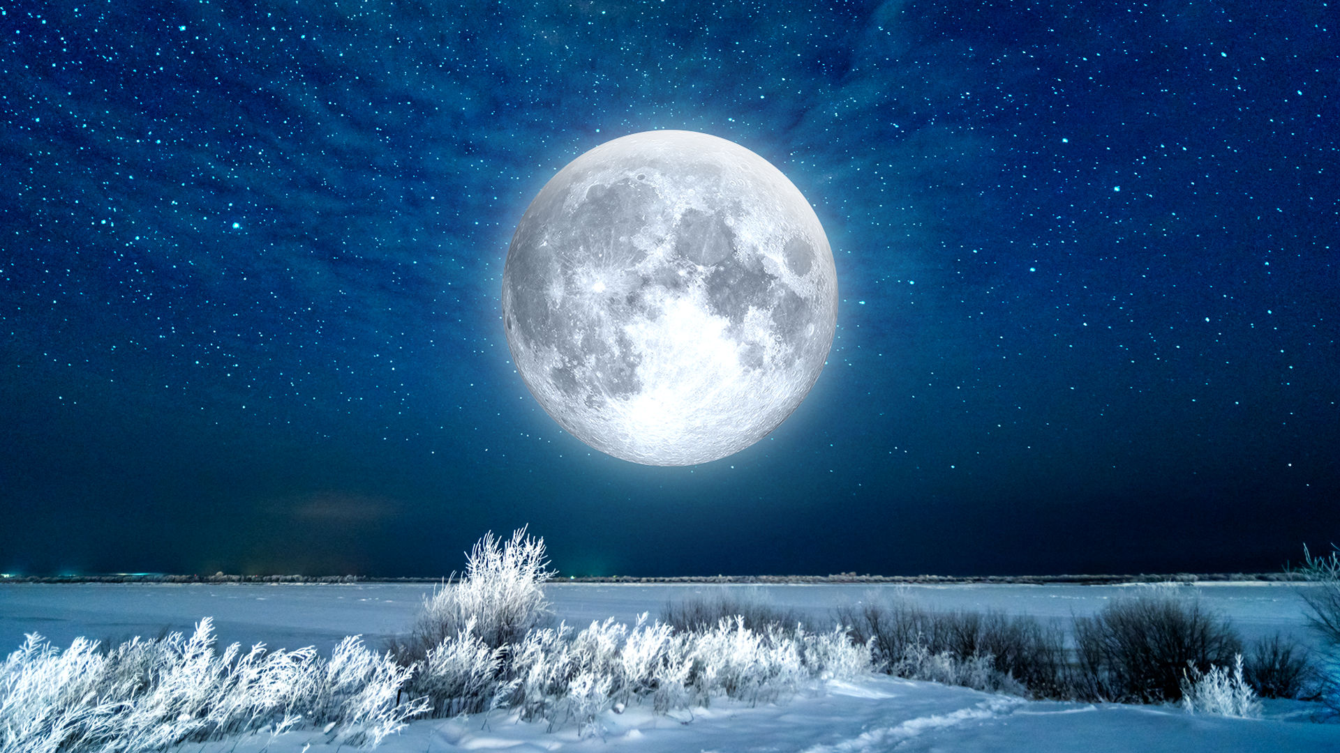 Pleine lune des neiges 2020 : une super lune ? | Star Walk