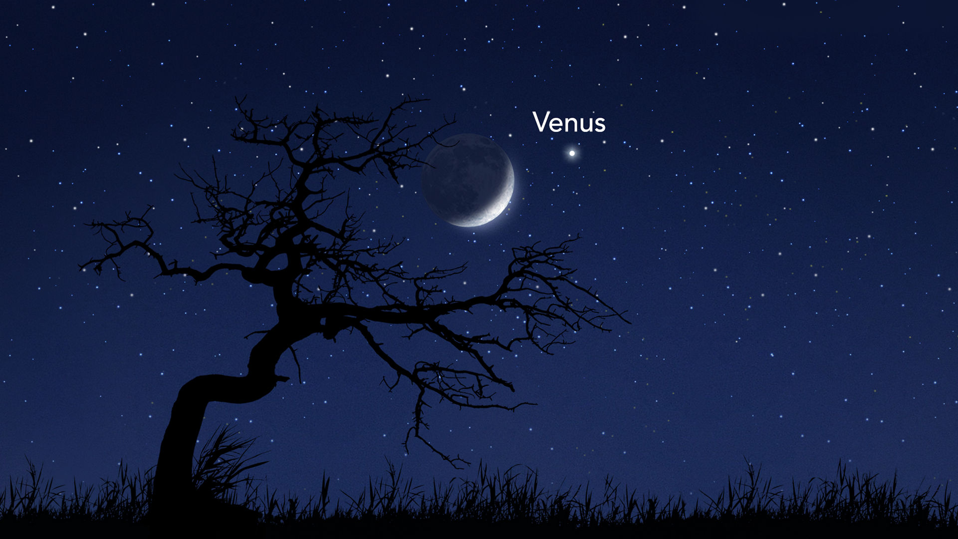 The Moon And Venus Grace The Sky When And How To See The Brightest