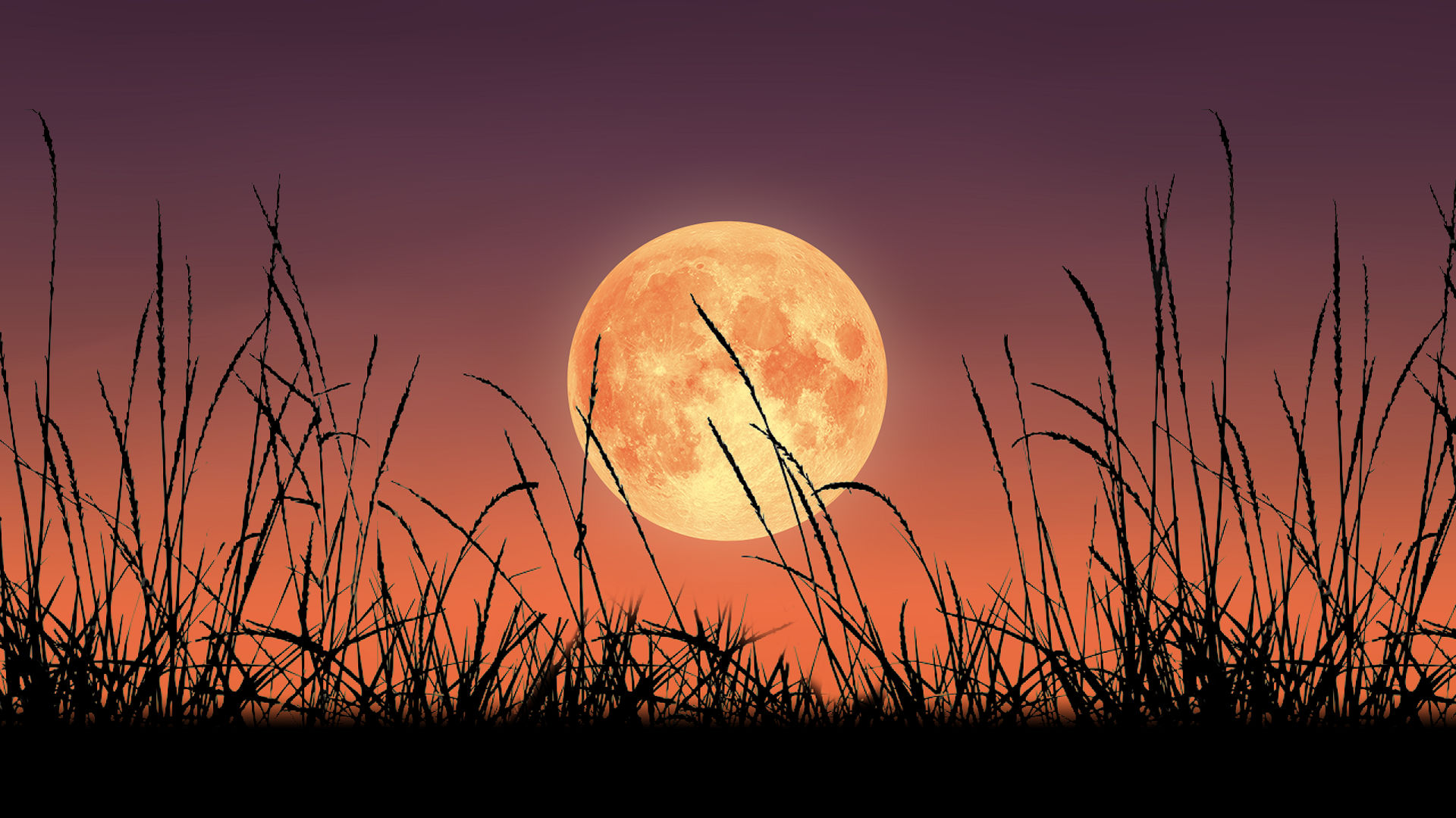 Full Moon September 2024 Harvest Moon - Davita Bonnibelle